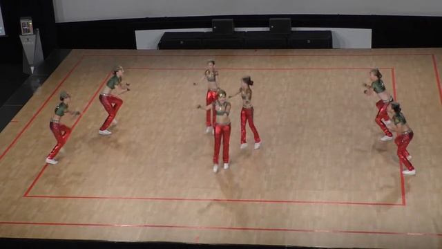 Команда из Чехии