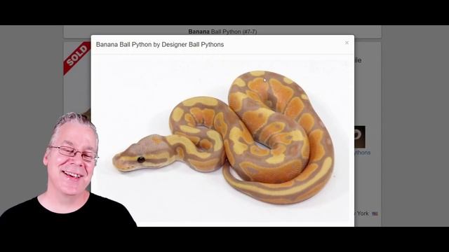 The Potential of the 'Black Nightmare' смотреть онлайн