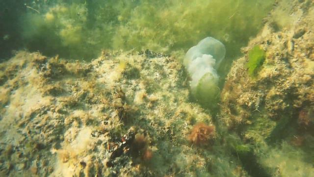 Sunny Beach - BULGARIA - Sveti Vlas смотреть онлайн