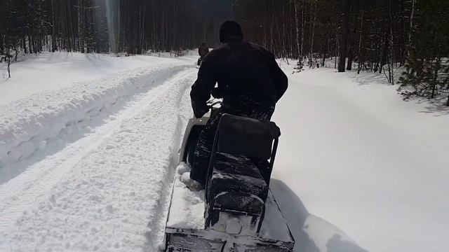Обезьяна на буране!!! смотреть онлайн