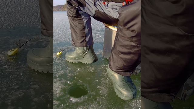 Речная мидия - Неожиданный улов *Ice* Fishing Clip & Зимняя рыбалка клип☆ смотреть онлайн