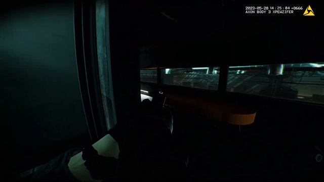 1 Girl, 11 Suspects | S rank - Solo - Pistol Only | Sinuous Trail | Ready or Not смотреть онлайн