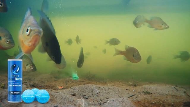 FISH MEGABOMB ИННОВАЦИОННАЯ ПРИМАНКА ДЛЯ РЫБАЛКИ ТОП ПРОДАЖ смотреть онлайн