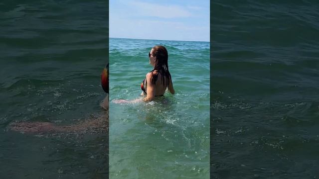 Waves of fun ? ? beach bliss ☀️ #beach girl #caribbean wild swimming #shorts смотреть онлайн