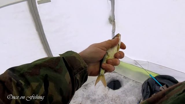 Рыбалка Плотва Лед Зима 2019 Беларусь Минское море Fishing Roach смотреть онлайн