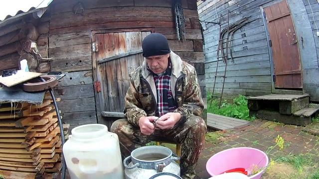 ГРУЗДИ . Вымачиваем, солим расскладываем по банкам на хранение. смотреть онлайн