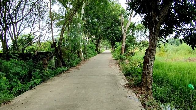 Oppo Reno 4 - Unboxing Review