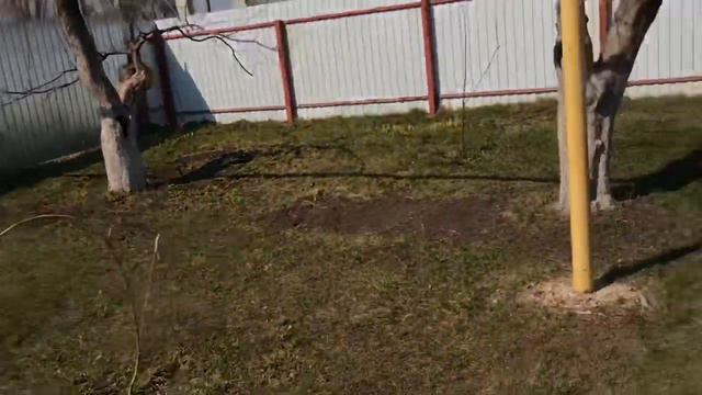 Наша жизнь как она есть смотреть онлайн