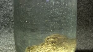 Меласса для рыбалки и ее влияние на прикормку для рыбы