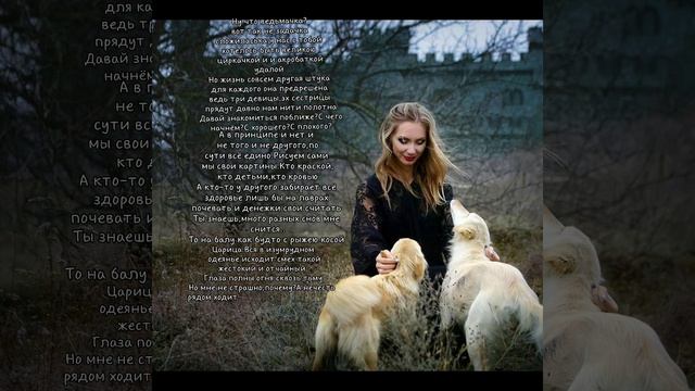 15 ноября 2022 г. смотреть онлайн