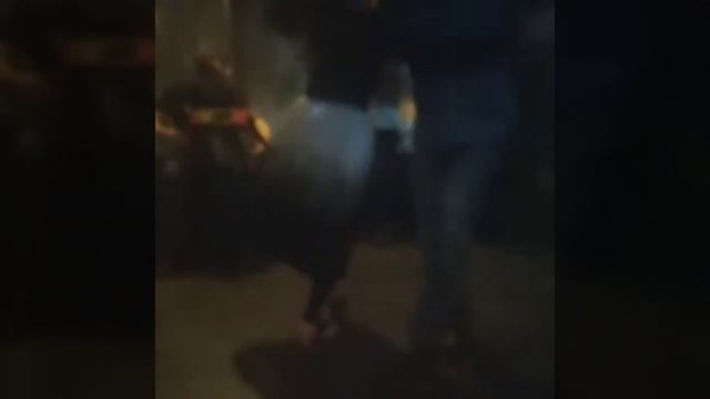 Folk Belarus Полька смотреть онлайн