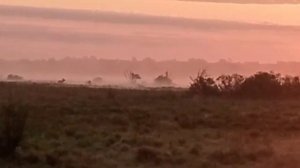 Ночь пройдет, наступит утро ясное...