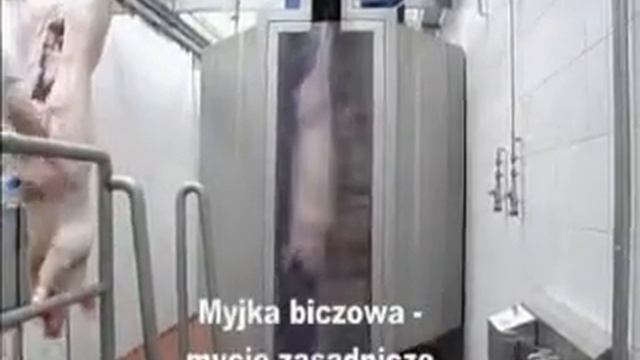 myjka biczowa / Бичевая мойка смотреть онлайн