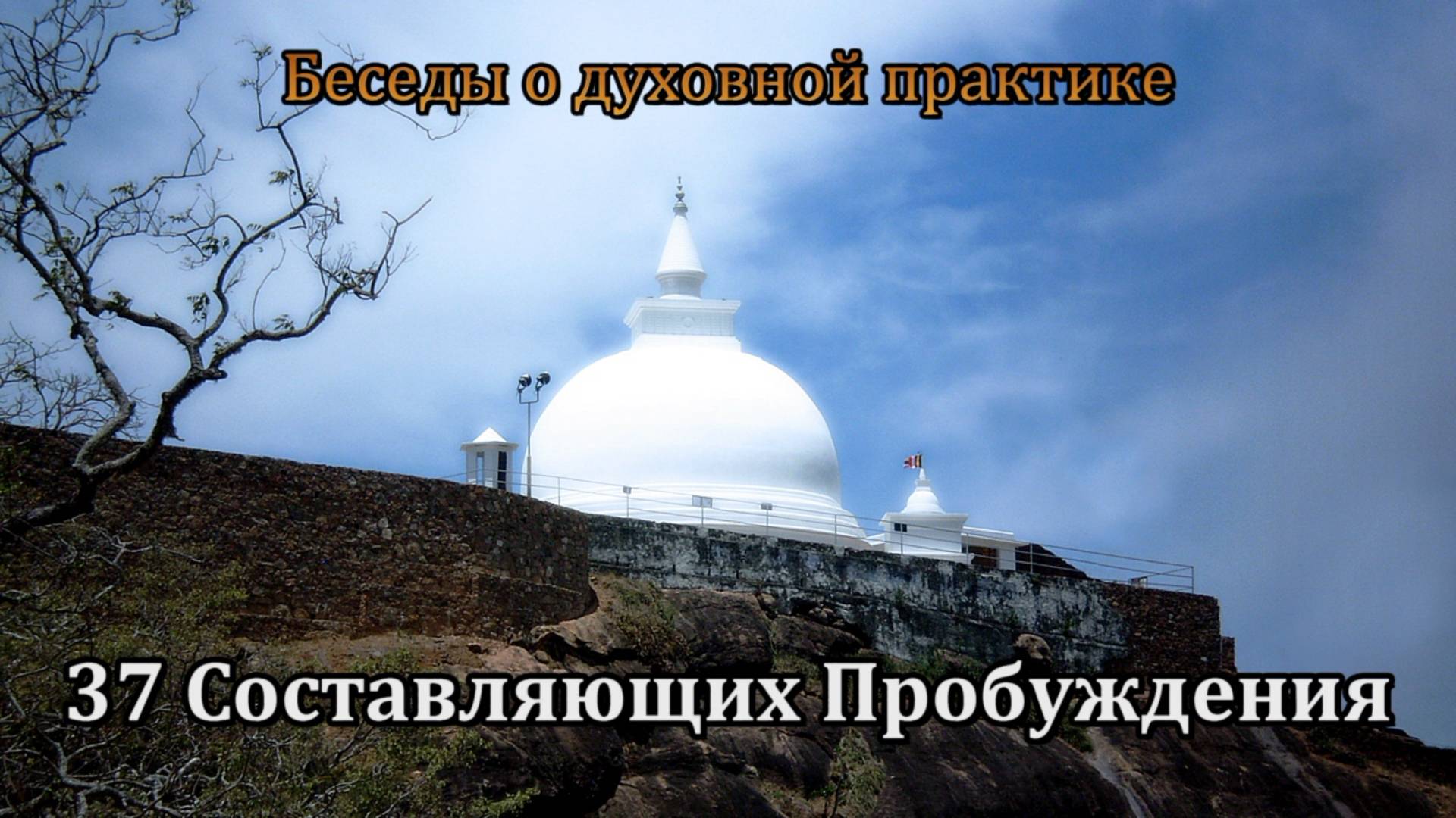 37 Составляющих Пробуждения смотреть онлайн