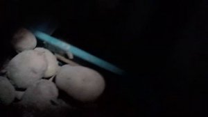 ⚠️ ВЕНТИЛЯЦИЯ ПОГРЕБА. КАК СДЕЛАТЬ ПОГРЕБ СУХИМ. РЕШАЕМ ВОПРОС С ВЕНТИЛЯЦИЕЙ ЗА КОПЕЙКИ ⚠️