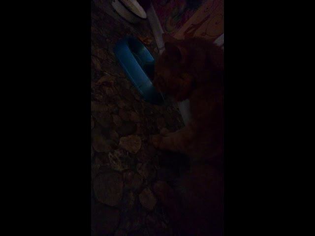 19 августа 2018 г. смотреть онлайн