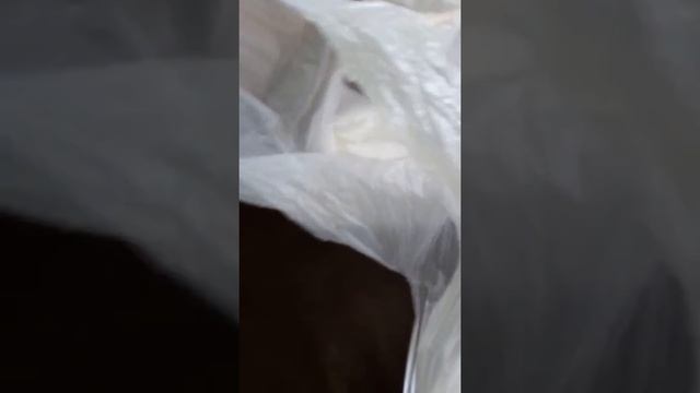 5 За 200 кфс смотреть онлайн