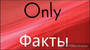 Как заново оживить корректор