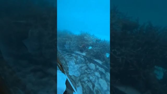 Женя Кот с Женой отдыхает на Мальдивах. Очень романтично и красиво! смотреть онлайн