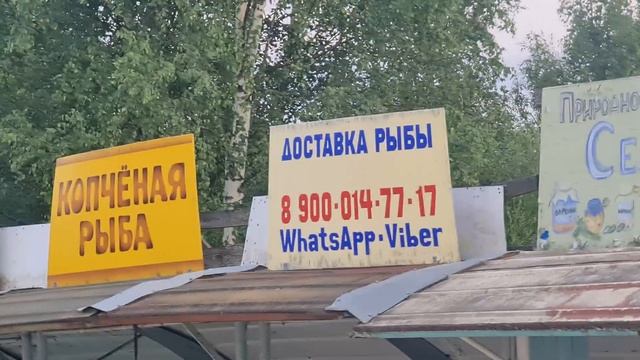 202! ВЕЛИКИЙ ТРИП [] DAY 8 [] Свапуще ➡️ Осташков смотреть онлайн