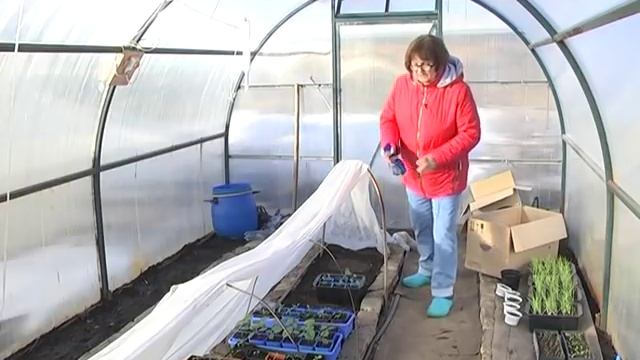 Дачные советы с Галиной Старосельцевой Апрель 4-2019 смотреть онлайн