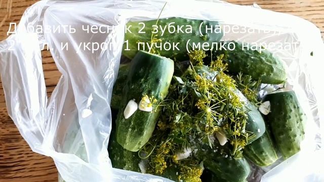 Огурцы малосольные в пакете (быстрый способ) смотреть онлайн