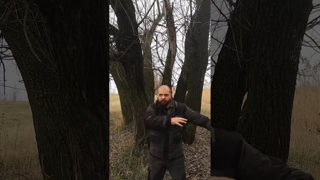 Оборона от нападения рогатого лося с помощью туристического коврика смотреть онлайн