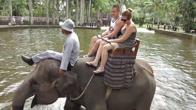 Elephant Park in Bali, Indonesia смотреть онлайн