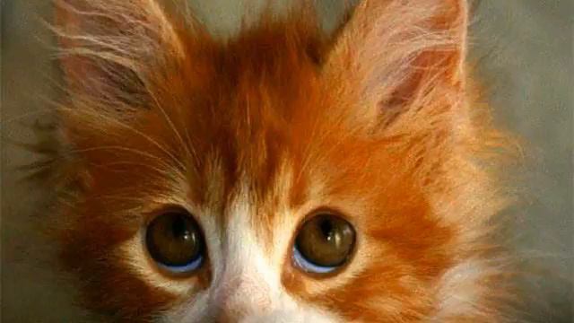 Красивая баллада про любовь. От этой песни в душе... смотреть онлайн