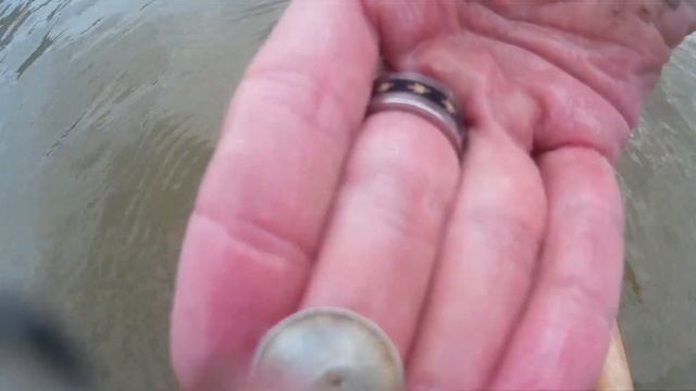 Первый коп со скубом. Серебряное кольцо Patriot C.S.  First Metal Detecting With Scoop. Silver Ring