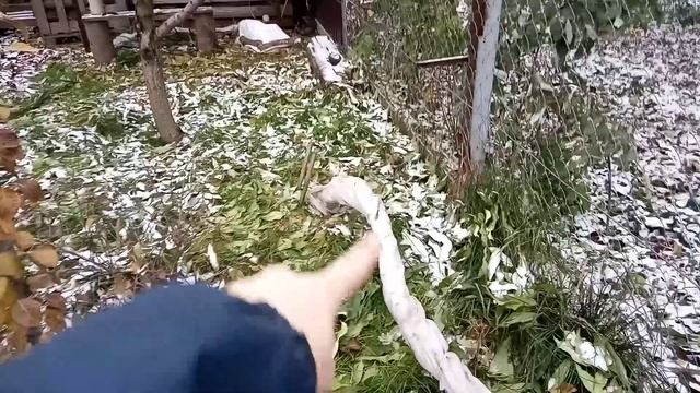 Укрытие винограда на севере Украины. Два способа укрытия.