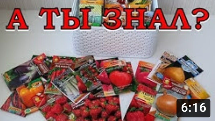 Какие ОВОЩИ можно сеять на рассаду в ЯНВАРЕ???? смотреть онлайн