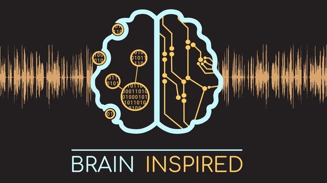 BI NMA 06: Advancing Neuro Deep Learning Panel смотреть онлайн