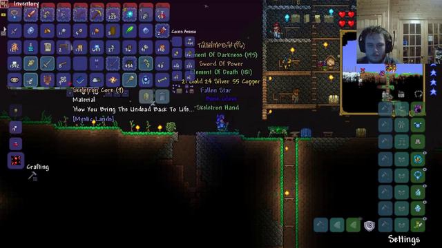 Modded Terraria Stream #23.1 смотреть онлайн