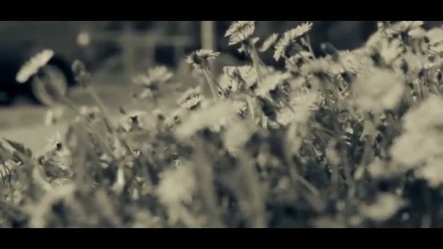 Всё Будет Хорошо EVO текст смотреть онлайн