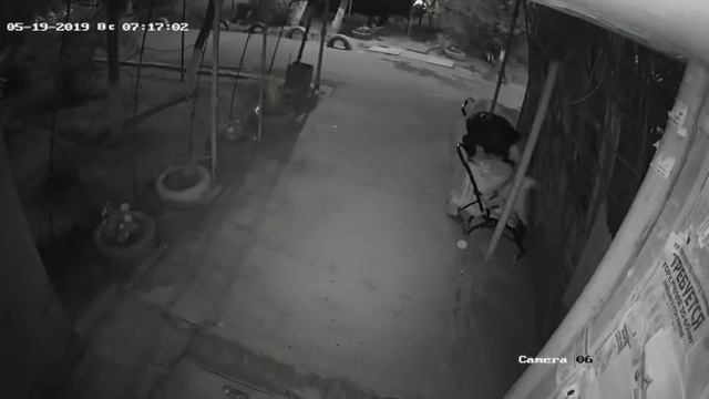 В 8 микрорайоне неизвестный по ночам входит в подъезды и ворует детские коляски смотреть онлайн