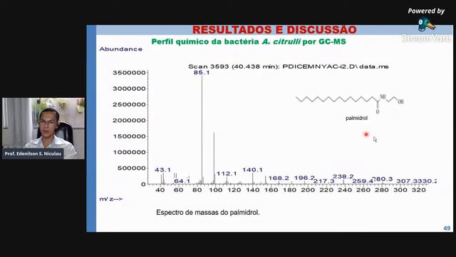 As interações planta-microorganismo: Uma abordagem baseada nos compostos orgânicos. смотреть онлайн
