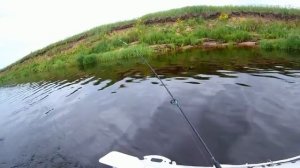 Рыбалка на реке Луга  д.Орлы. Щука 3кг