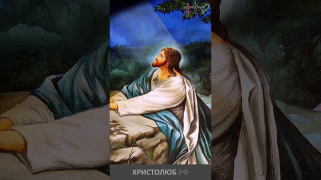 #ИИСУС #ХРИСТОС о молитве и прощении #Евангелие #Библия #НовыйЗавет @ХРИСТОЛЮБ ✝️ @ВЕГАН ? #shorts смотреть онлайн