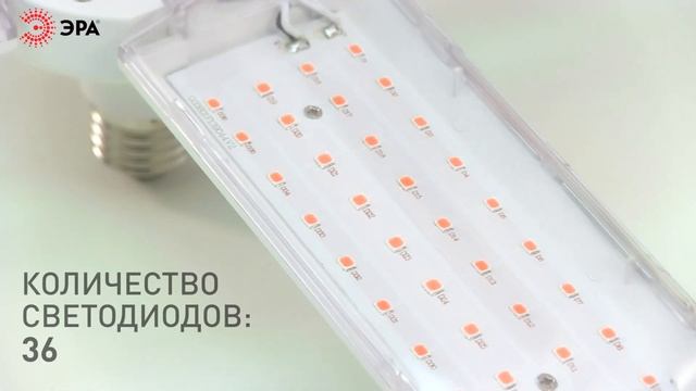 Фитолампа для растений светодиодная ЭРА FITO-36W-RB-E27-FOLD 4-х лепестковая красно-синего спектра смотреть онлайн