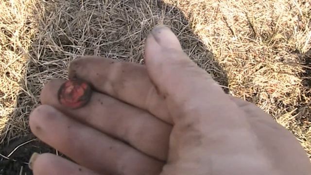 Нашли первый солид! Серебряный польский полторак! Коп 2020 смотреть онлайн