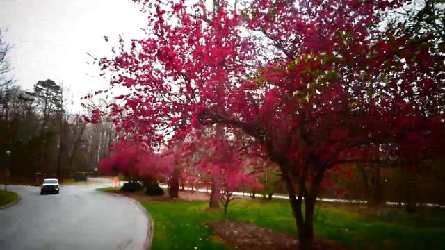 Розовое волшебство . Pink magic. смотреть онлайн