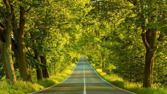 Relaxing Background Guitar Music - meditate, focus, study, think смотреть онлайн