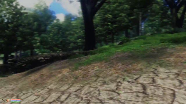Oblivion with mods - 2016 graphics - Walk in the forest смотреть онлайн