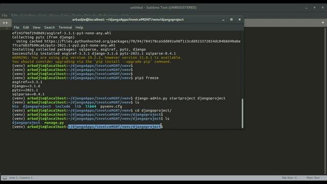 03 DJANGO PROJECT AND APP – INVOICE MANAGEMENT SYSTEM смотреть онлайн