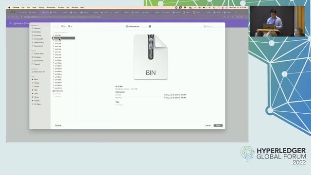 Demo: Making Fabric Easy To Use: FireFly FabConnect - Jim Zhang, Kaleido смотреть онлайн