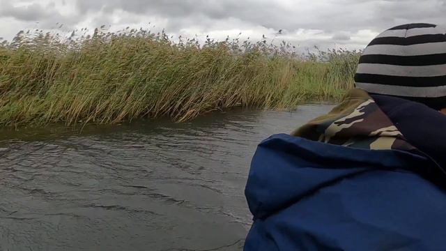 Выживание 24 часа. Рыбалка. Омская область. Здесь рыбы нет))) смотреть онлайн