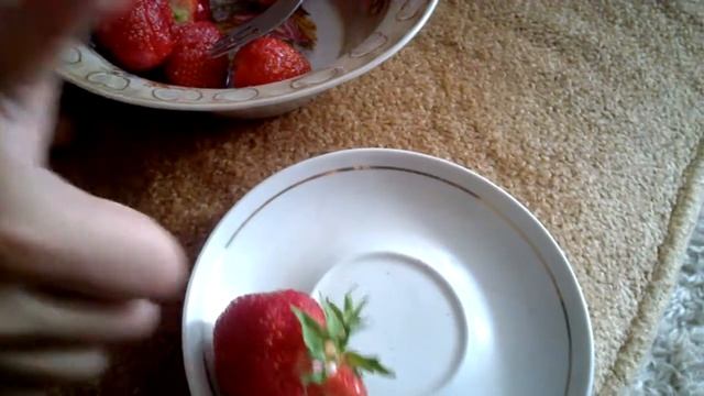 УРОЖАЙ КЛУБНИКИ на АГРОВОЛОКНЕ ПОРАДОВАЛ НАС И УДИВИЛ ДИКОВИНКАМИ смотреть онлайн