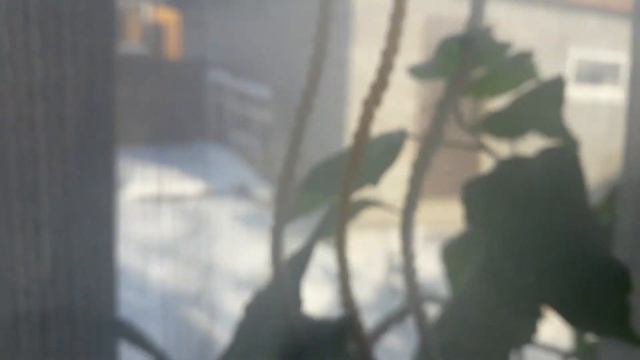 Татьянин дом/ Утро 8 февраля просыпаюсь я с рассветом в 5 утра. смотреть онлайн