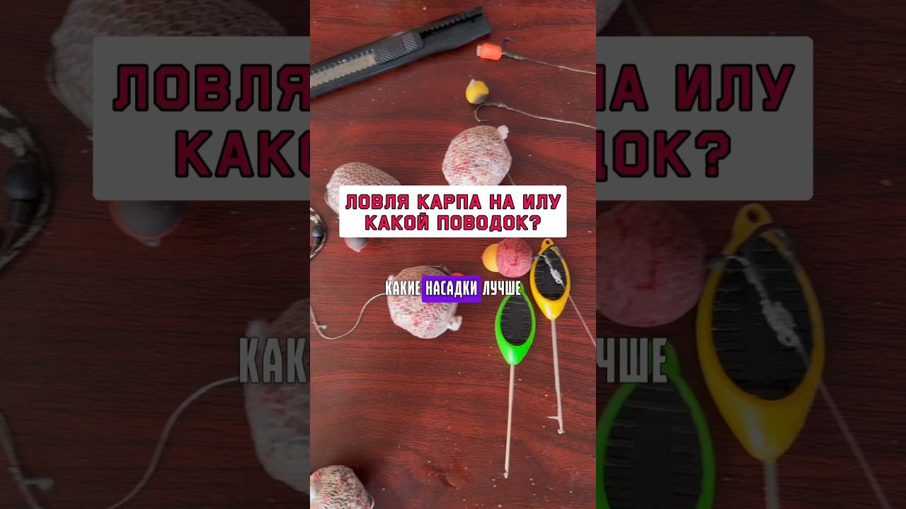Какой ставить поводок на карпа и сазана на илу? #карпфишинг смотреть онлайн